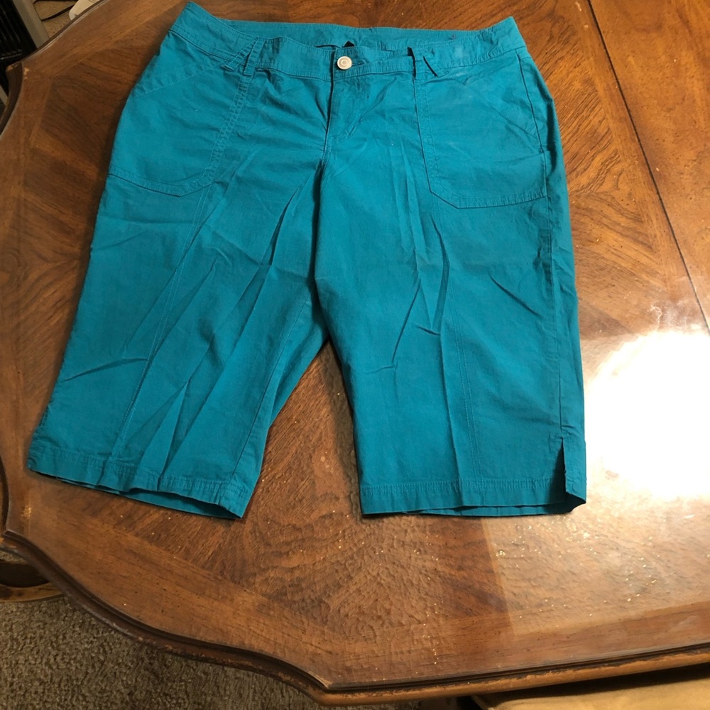 Lane Bryant Shorts
